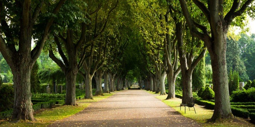header-bestattung-gansch-01